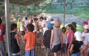 IMG_5978.JPG